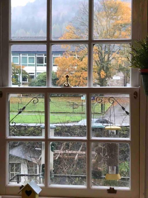 Cosy Flat