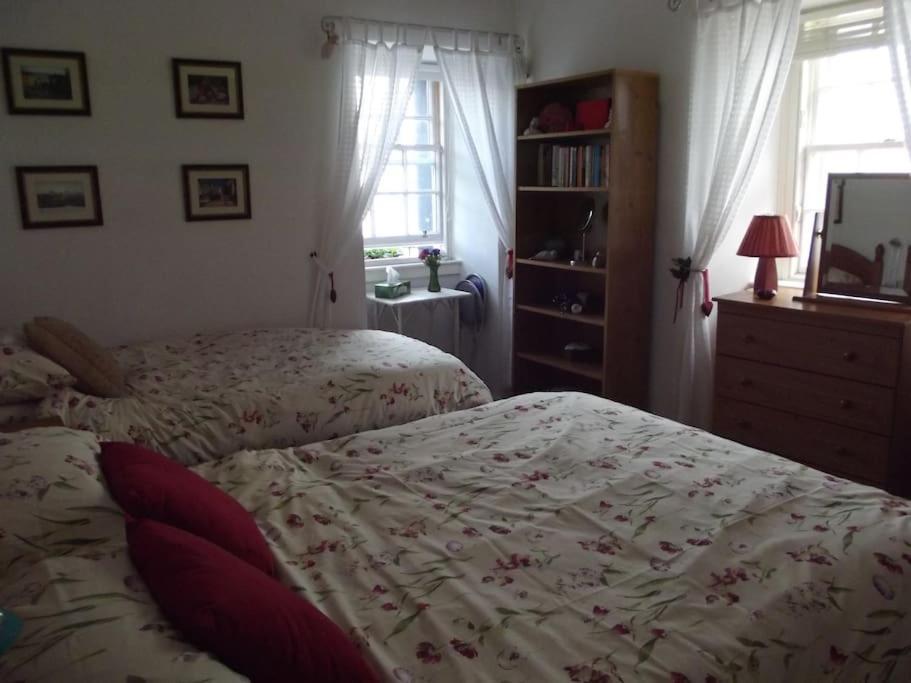 Cosy Flat